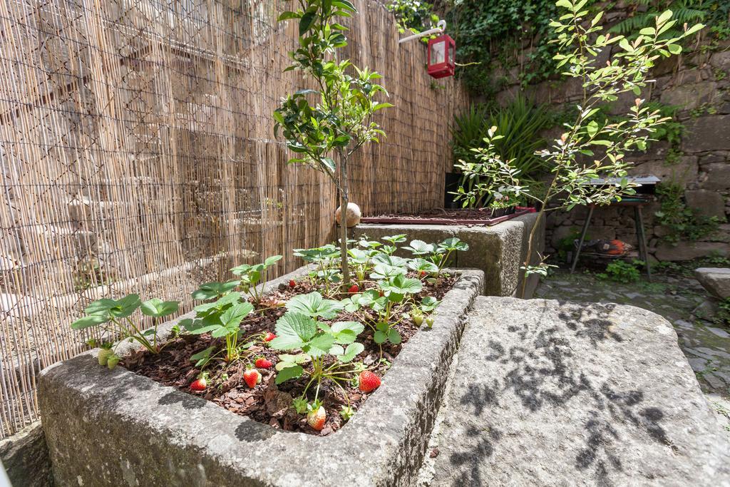 Bracara Hostel Braga Bagian luar foto